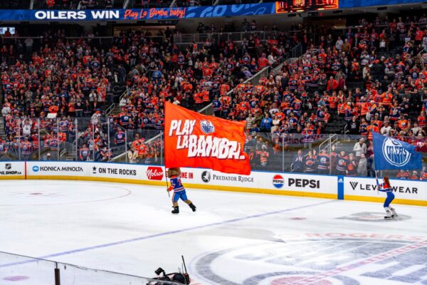 ROGERS PLACE NEST CAMERA visual data 4